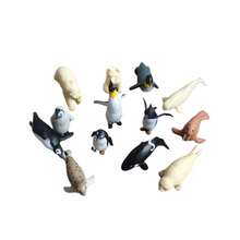 Lade das Bild in den Galerie-Viewer, Spielset, Polartiere, Tiere, Wild Republic
