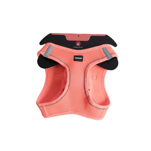 Lade das Bild in den Galerie-Viewer, Hundegeschirr atmungsaktive Air-Mesh Topmast, XL
