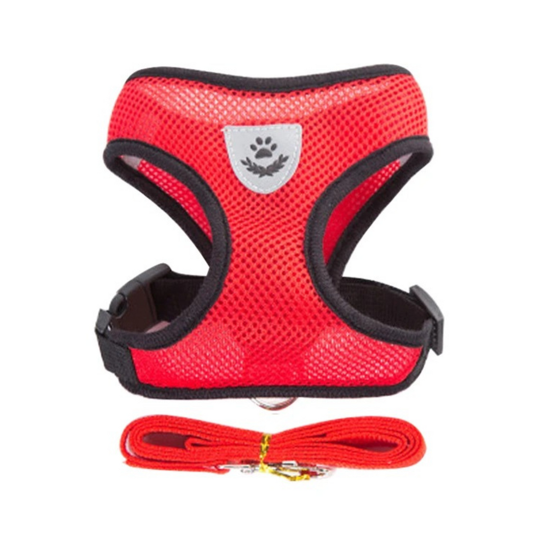 Hundegeschirr und Leine Set, Air-Mesh Katze Brustgeschirr, M