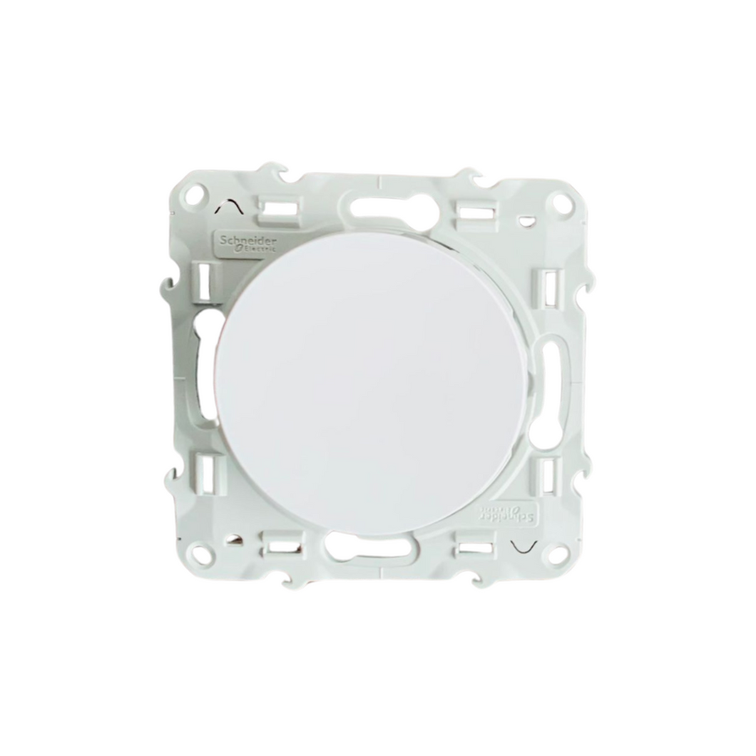 Schalter Schneider Electric Odace, Taster, Schnellanschluss, 10 A