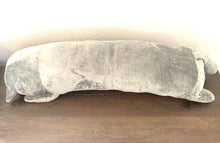 Lade das Bild in den Galerie-Viewer, Kuscheltier Plüschtier Kissen Katze Lecylanker, 70cm

