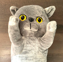 Lade das Bild in den Galerie-Viewer, Kuscheltier Plüschtier Kissen Katze Lecylanker, 70cm
