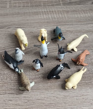 Lade das Bild in den Galerie-Viewer, Spielset, Polartiere, Tiere, Wild Republic

