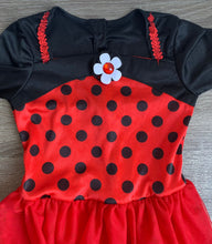 Lade das Bild in den Galerie-Viewer, Kostüm Kinderkostüm Kleid Ballerina Marienkäfer Käfer, 4-6Jahre
